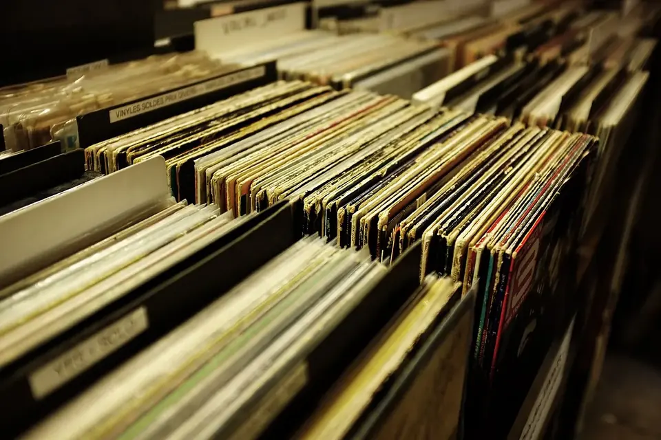 Bacs remplis de disques vinyles d'occasion serrés les uns contre les autres chez un disquaire